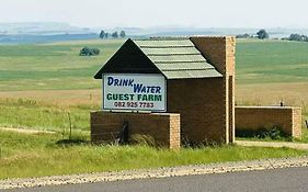 Drinkwater Guest Farm